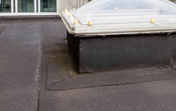 disadvantages of Ruloe flat roofs
