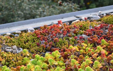 the cost of Ruloe green roof installation