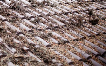 Ruloe roof cleaning companies